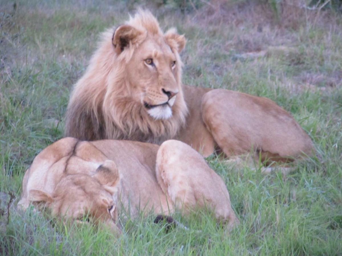 Addo Gateway Lodge Colchester Eksteriør bilde