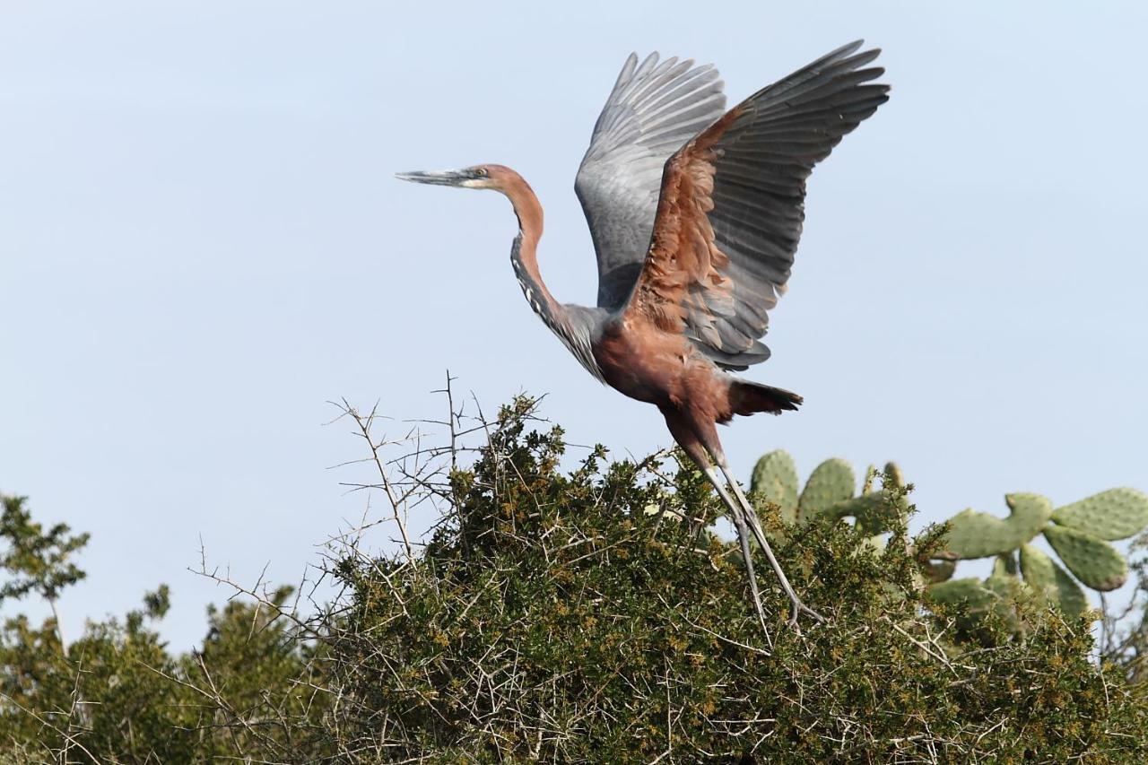 Addo Gateway Lodge Colchester Eksteriør bilde